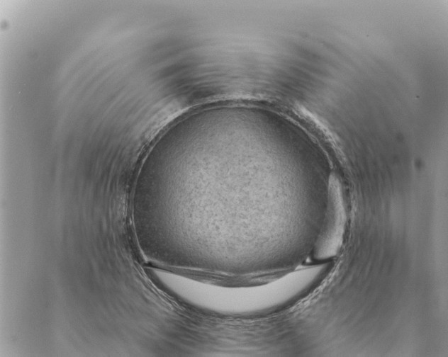 X0000088831169200706281748