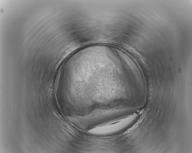 X0000088831170200706281748