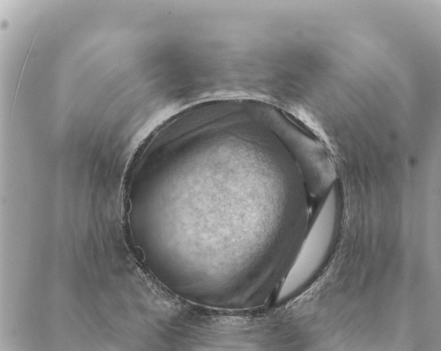 X0000088831173200706281748