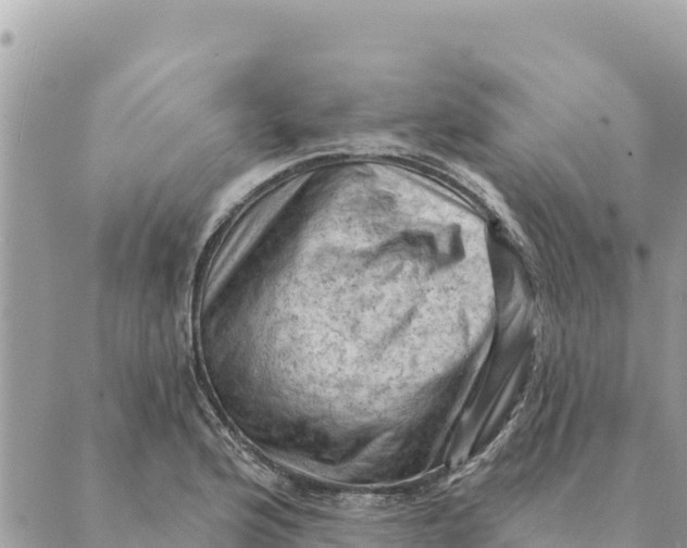 X0000088831176200706281748