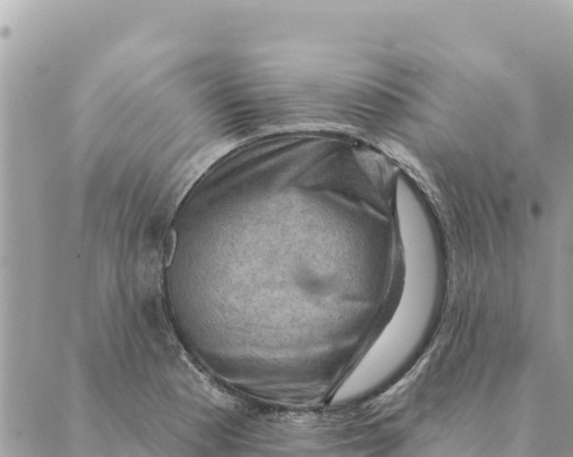 X0000088831177200706281748