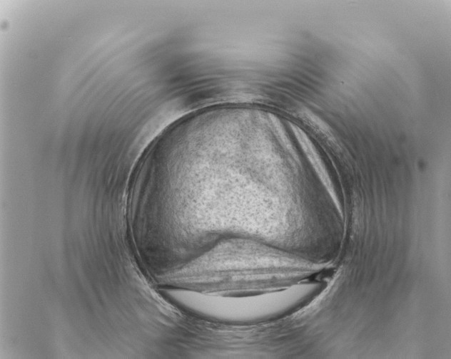 X0000088831178200706281748