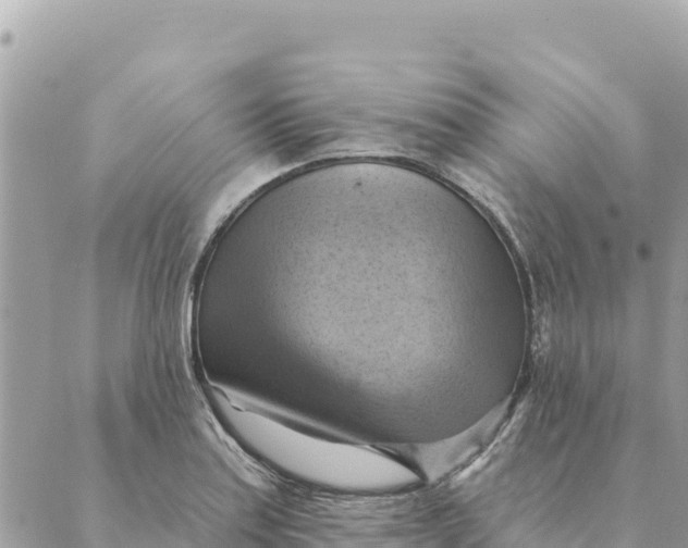 X0000088831179200706281748