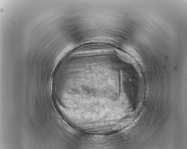 X0000088831180200706281748