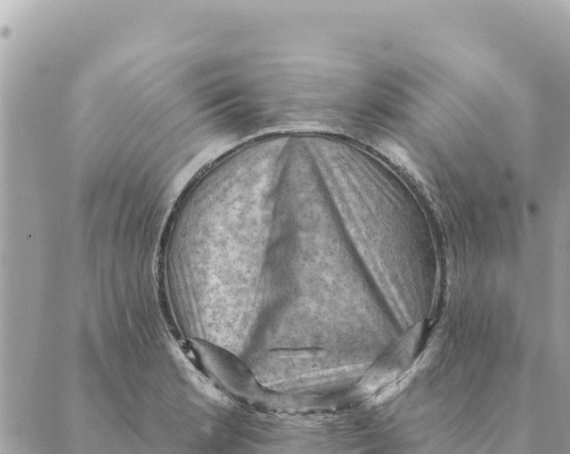 X0000088831181200706281748