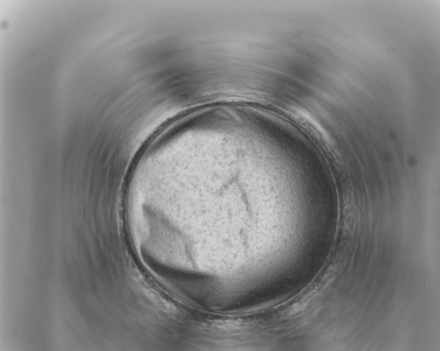 X0000088831182200706281748