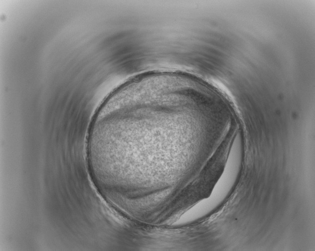 X0000088831183200706281748