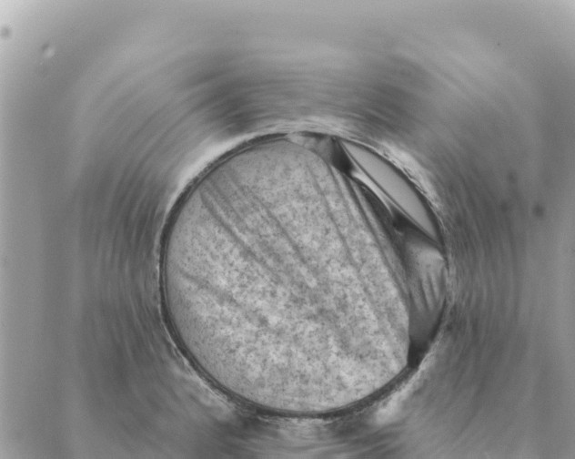 X0000088831184200706281748