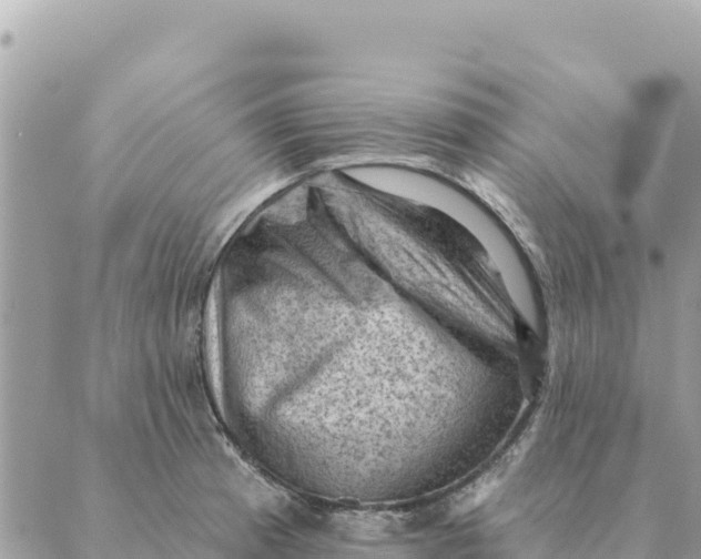 X0000088831185200706281748