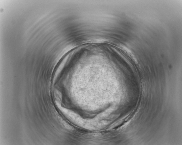 X0000088831186200706281748