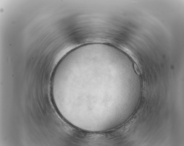 X0000088831187200706281748