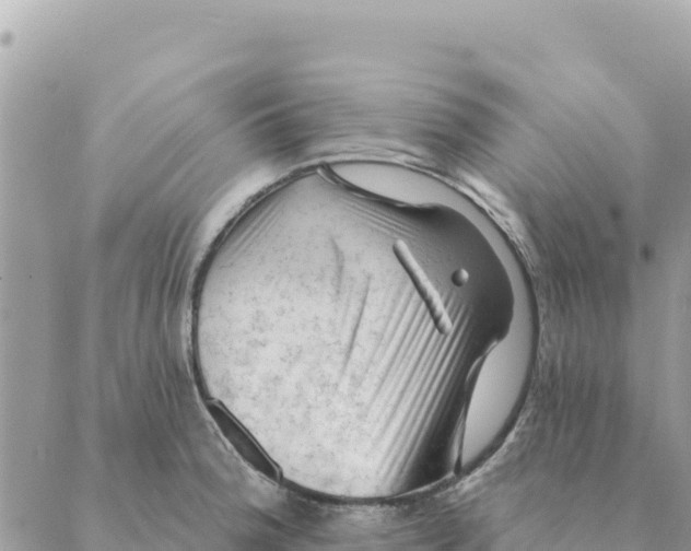 X0000088831188200706281748