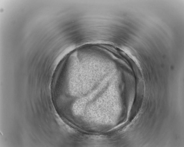 X0000088831189200706281748