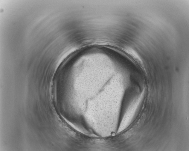 X0000088831190200706281748