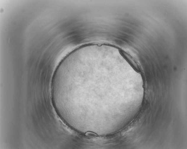 X0000088831191200706281748