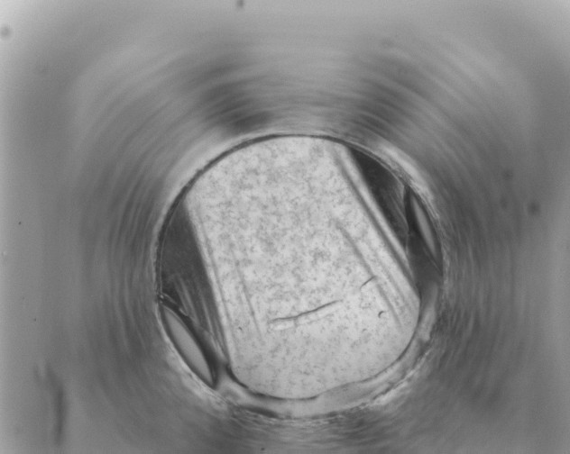 X0000088831192200706281748