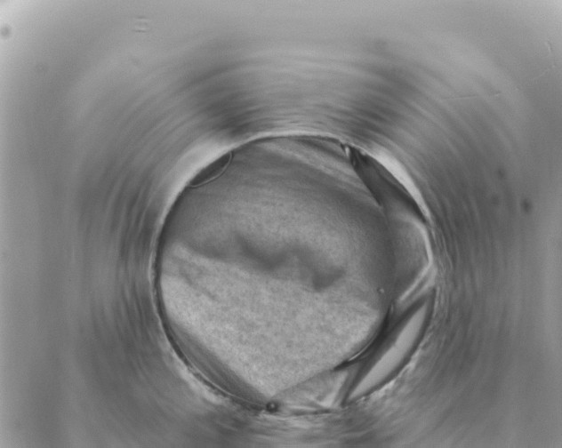 X0000088831197200706281748