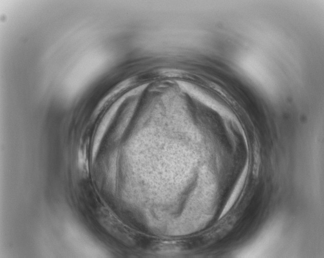 X0000088831198200706281748