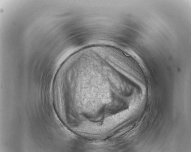 X0000088831199200706281748