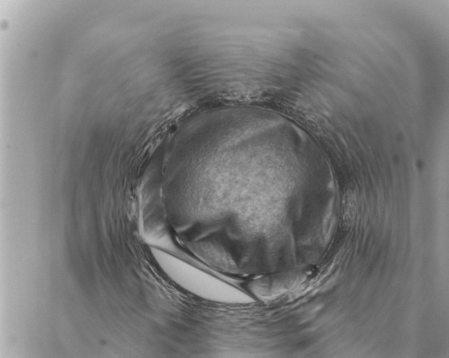 X0000088831202200706281747