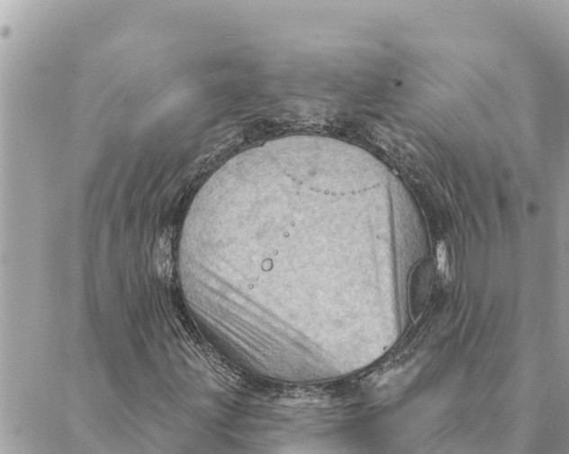 X0000088831203200706281747