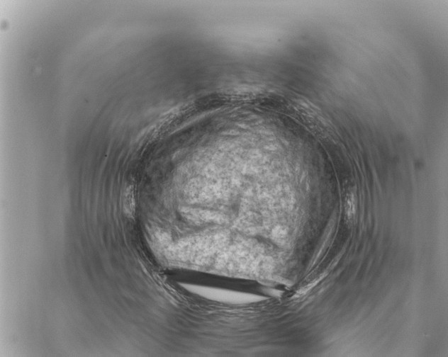 X0000088831204200706281747