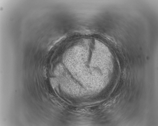 X0000088831205200706281747