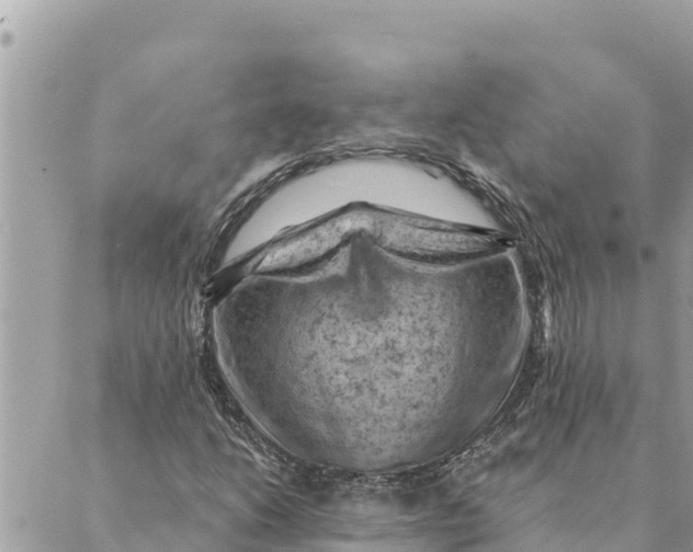 X0000088831206200706281747