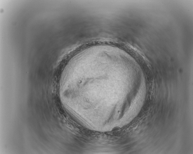 X0000088831207200706281747