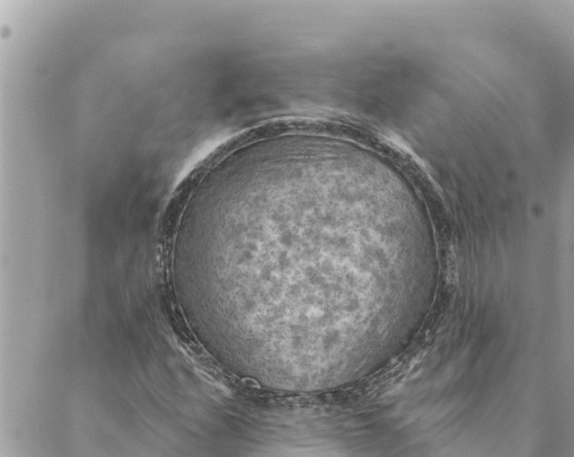 X0000088831208200706281747