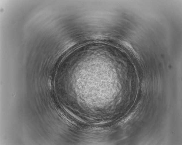 X0000088831209200706281747