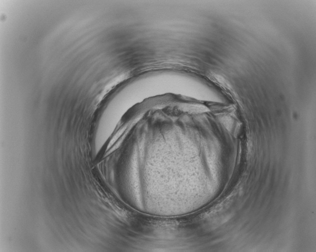 X0000088831210200706281747