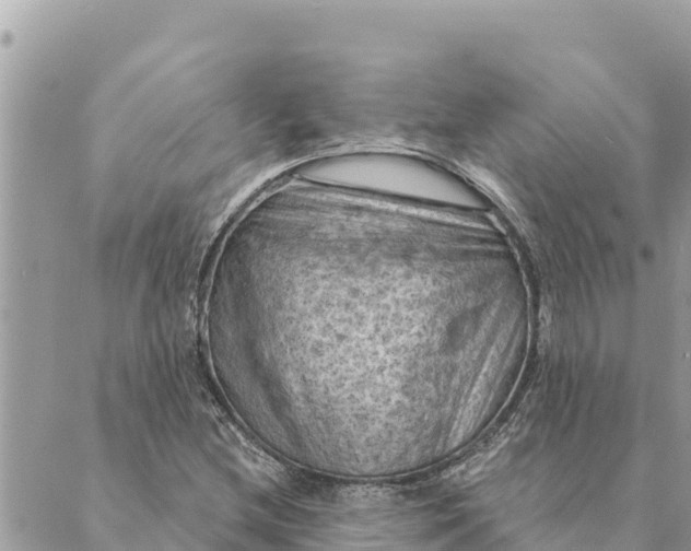 X0000088831212200706281747