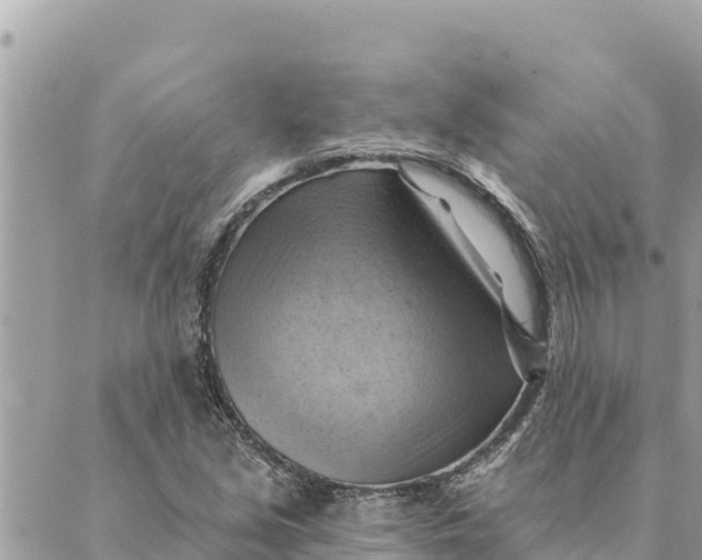 X0000088831213200706281747