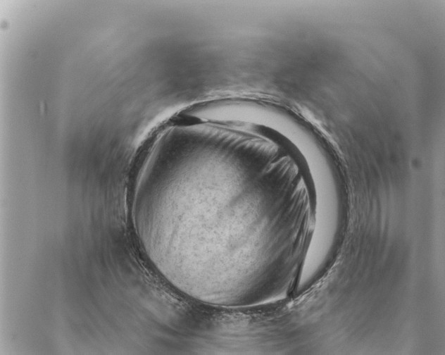 X0000088831214200706281747