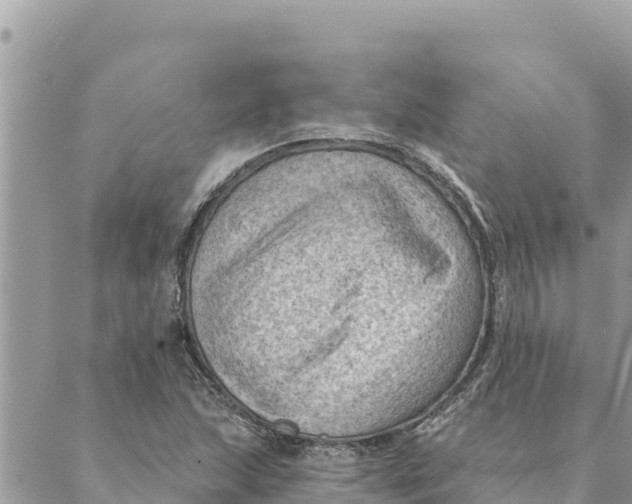 X0000088831215200706281747