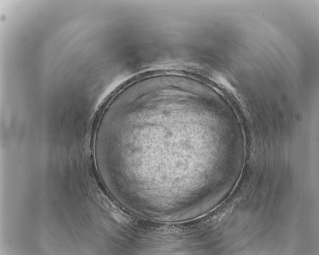 X0000088831216200706281747