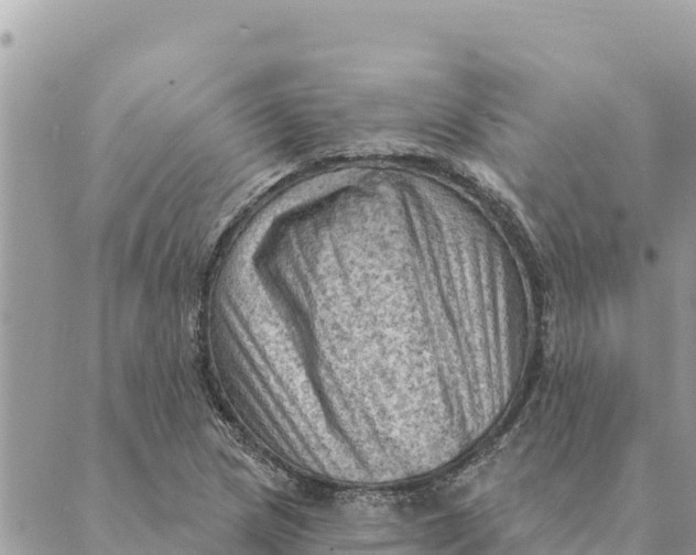 X0000088831217200706281747