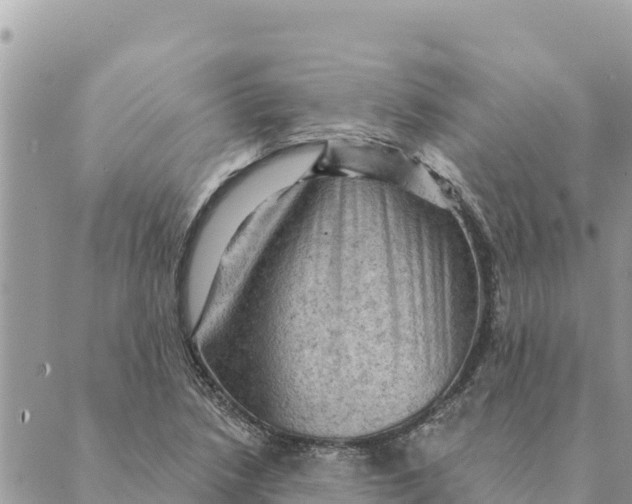 X0000088831218200706281747