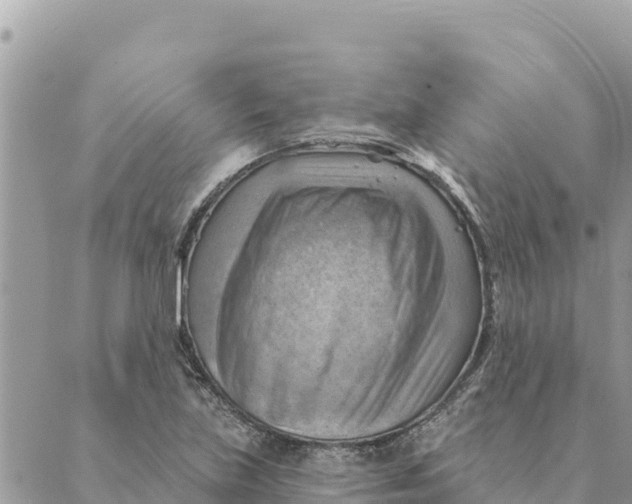 X0000088831219200706281747