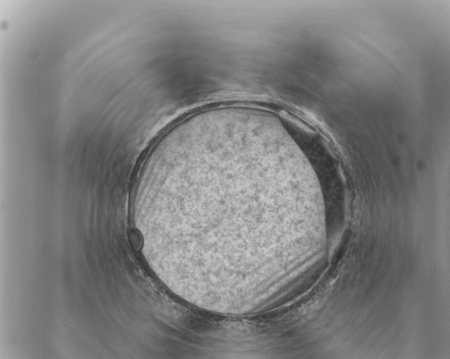 X0000088831220200706281747