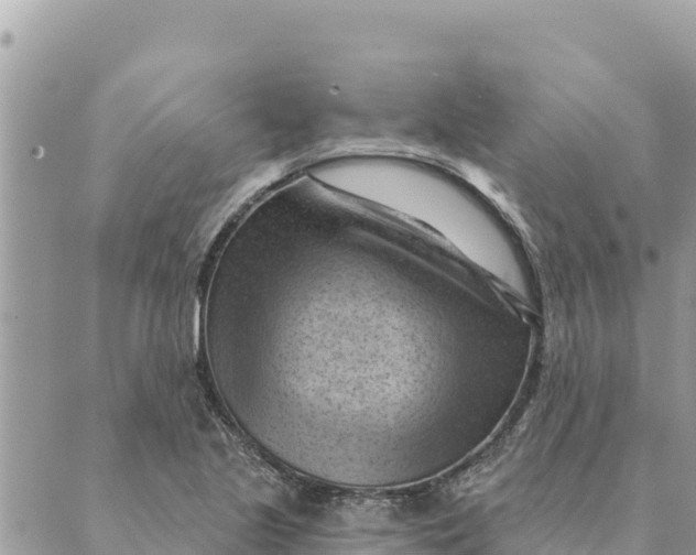 X0000088831221200706281747