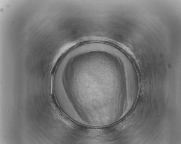 X0000088831223200706281747