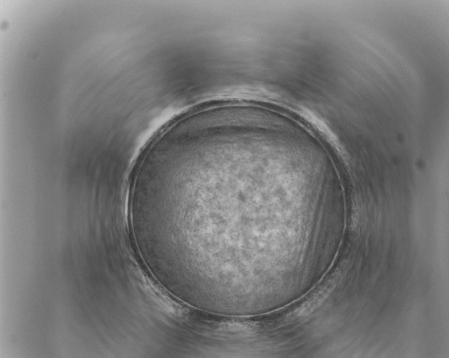 X0000088831224200706281747