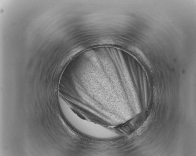 X0000088831225200706281747