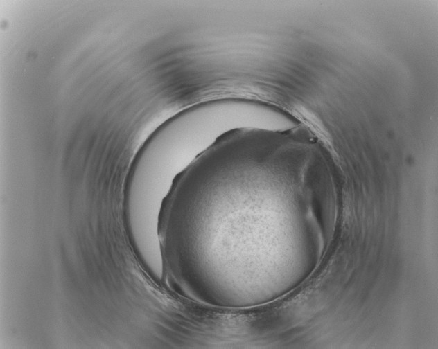 X0000088831226200706281747