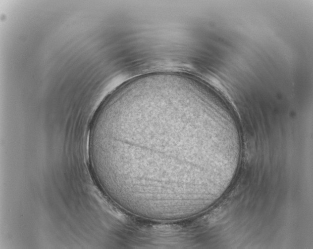 X0000088831227200706281748