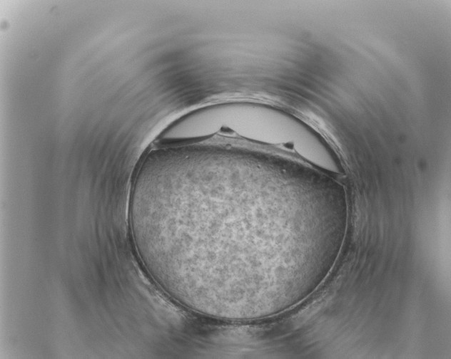 X0000088831228200706281748