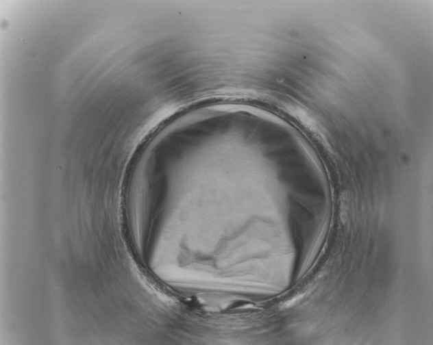 X0000088831229200706281748