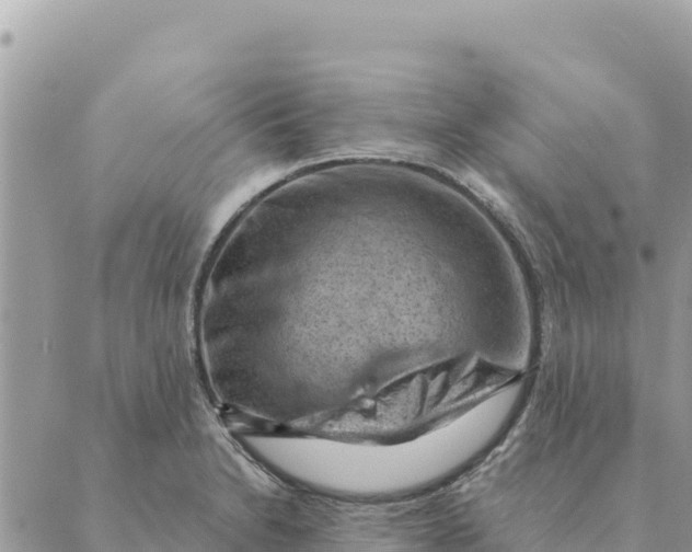 X0000088831230200706281748